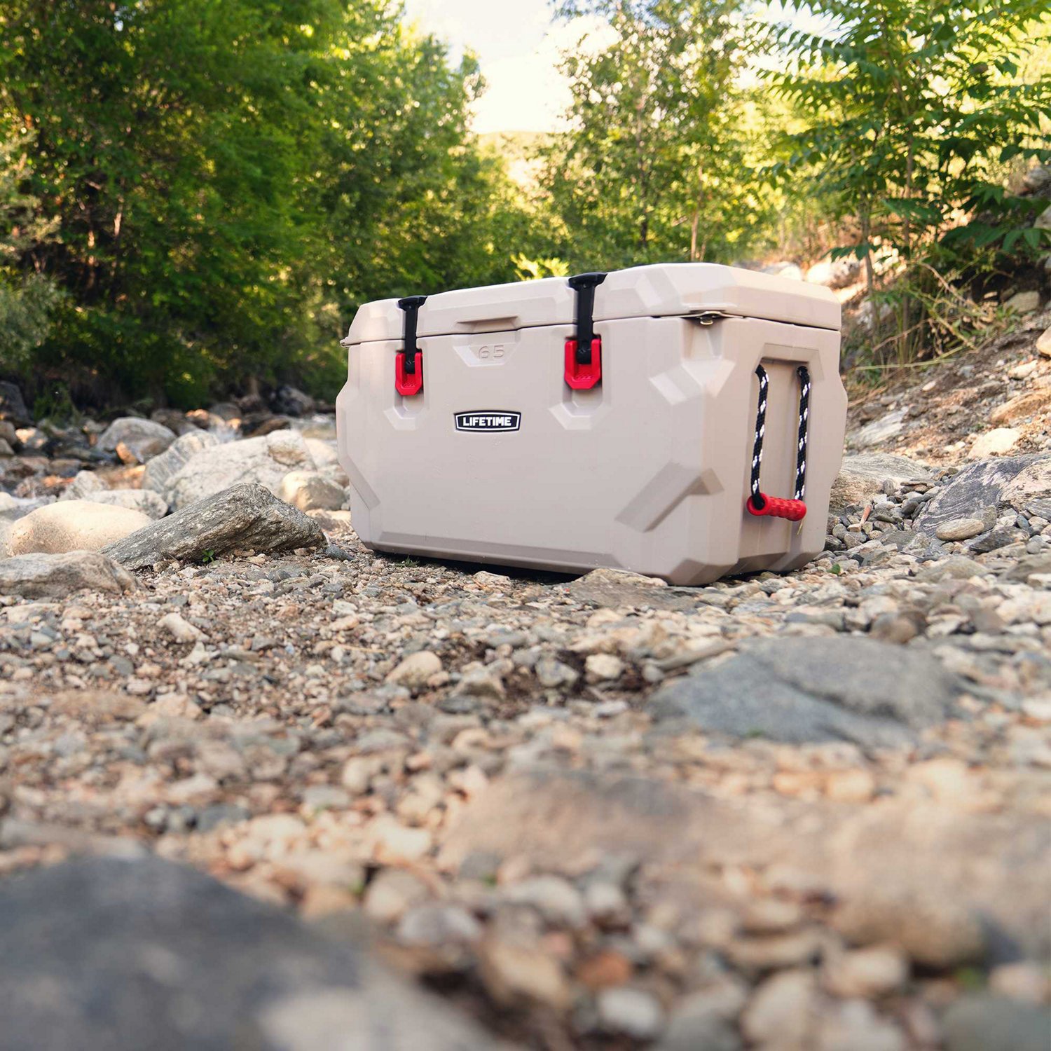 Lifetime 65 qt High Performance Cooler Academy