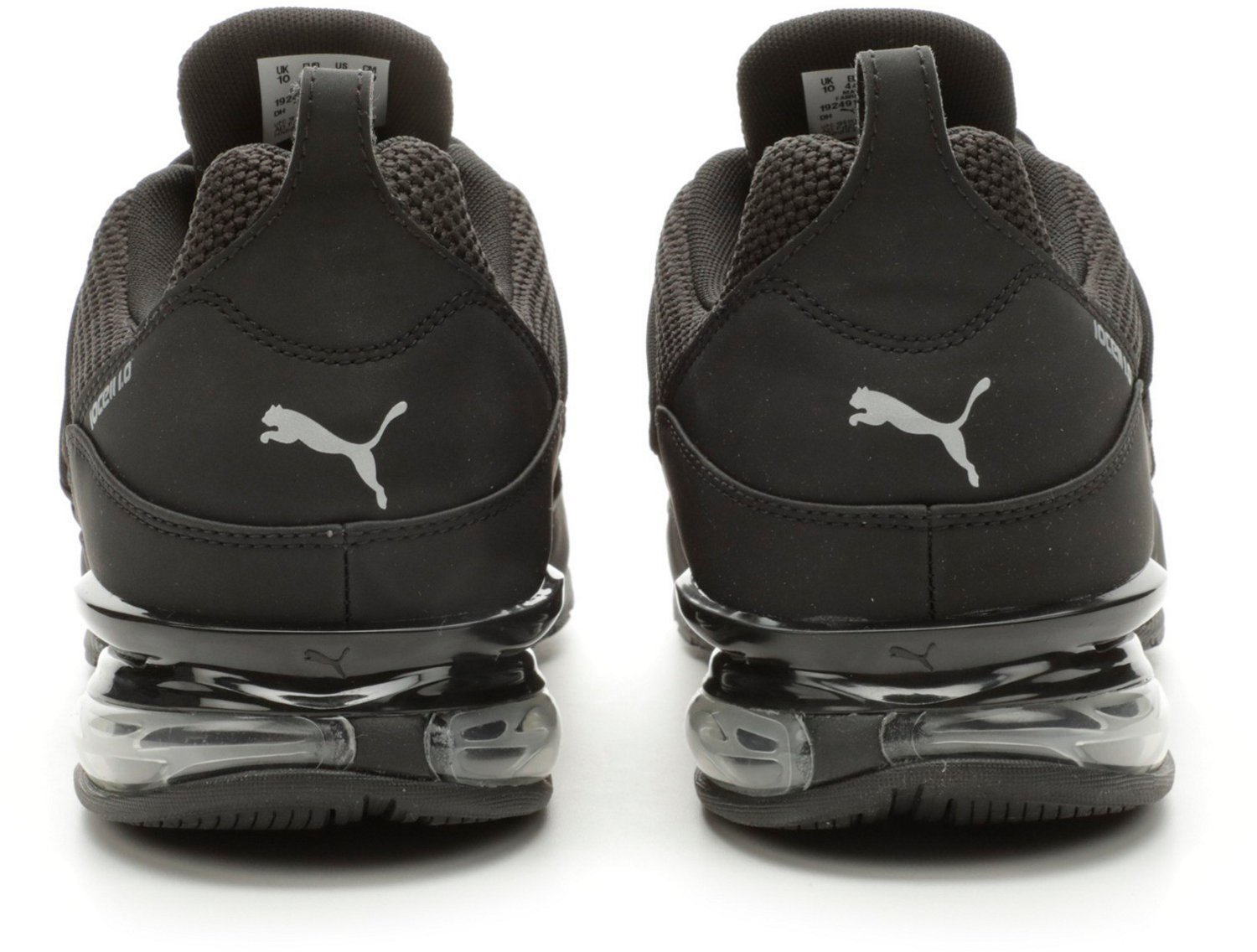 puma cell regulate white