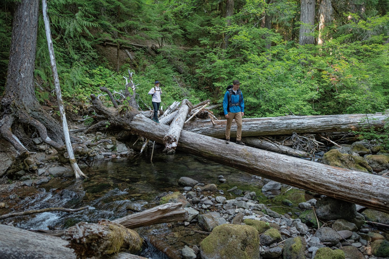 Columbia Sportswear Men's PFG Terminal Tackle Hoodie - view number 8