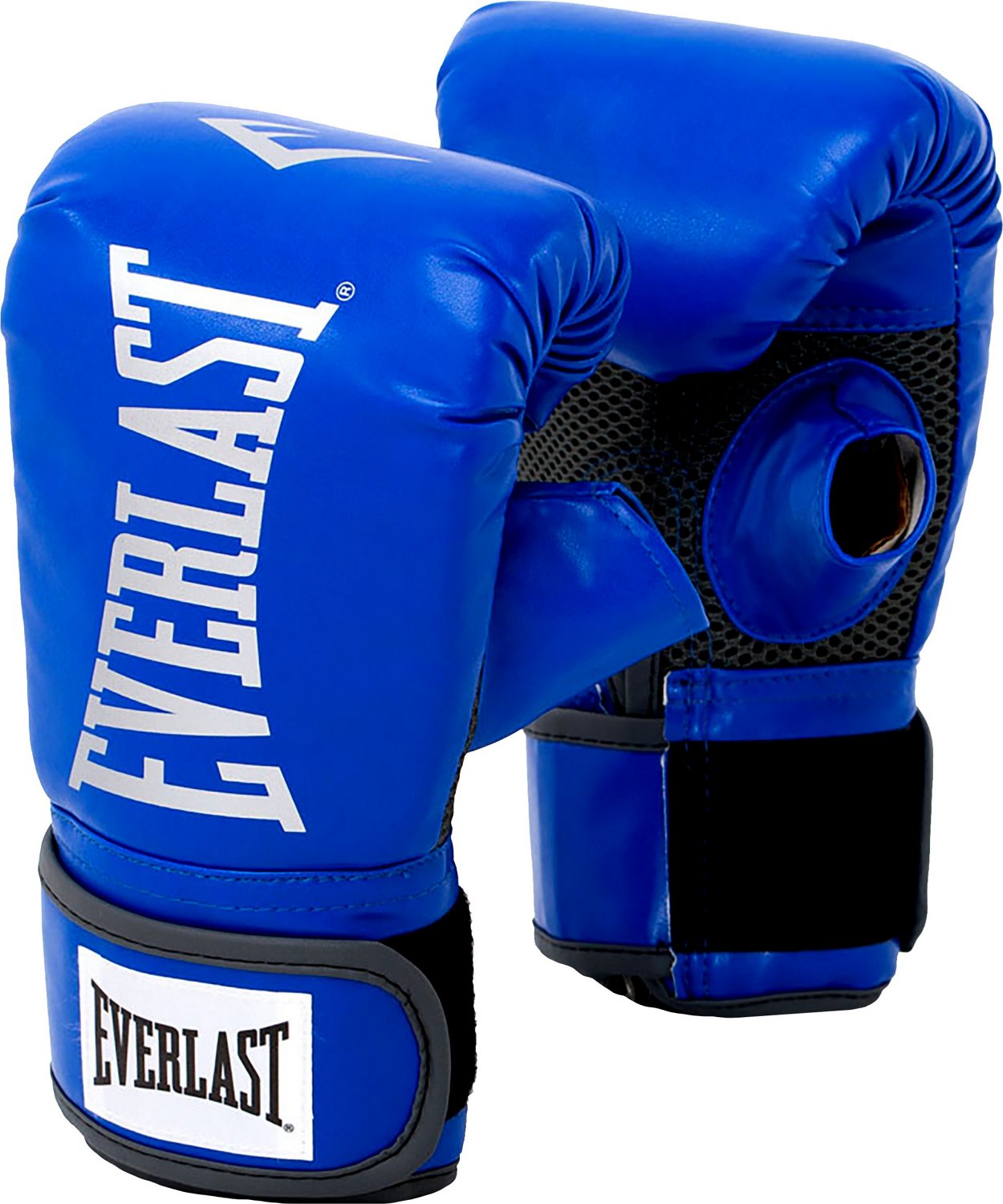 80lb Everlast Platinum Heavy Bag Kit | Academy