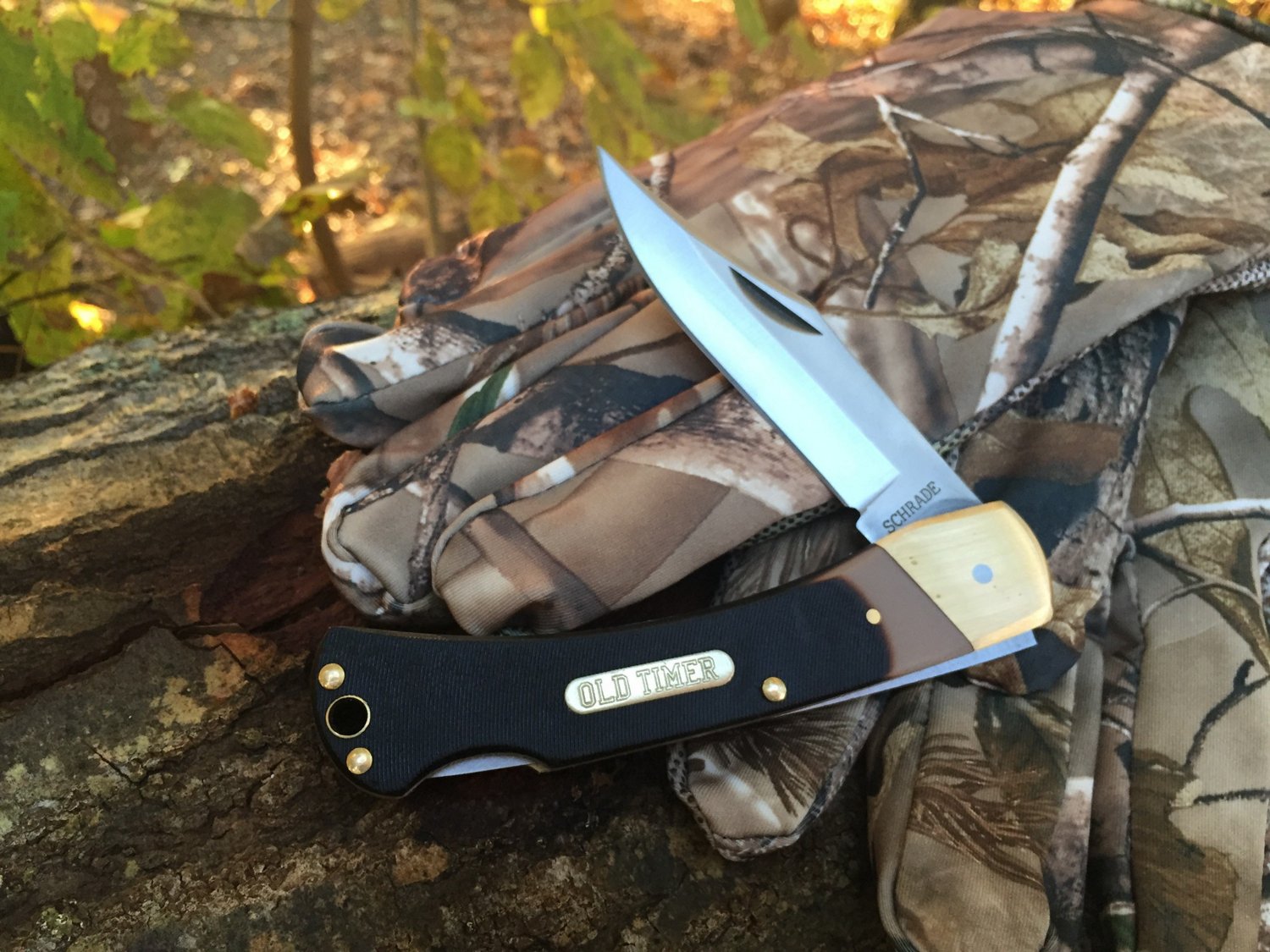 Old Timer Golden Bear Knife                                                                                                      - view number 2