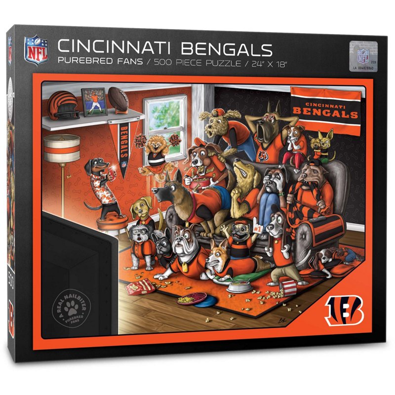 Youthefan Cincinnat… - image