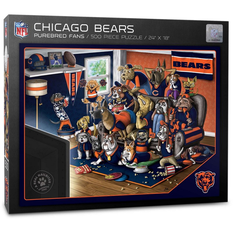 Youthefan Chicago B… - image