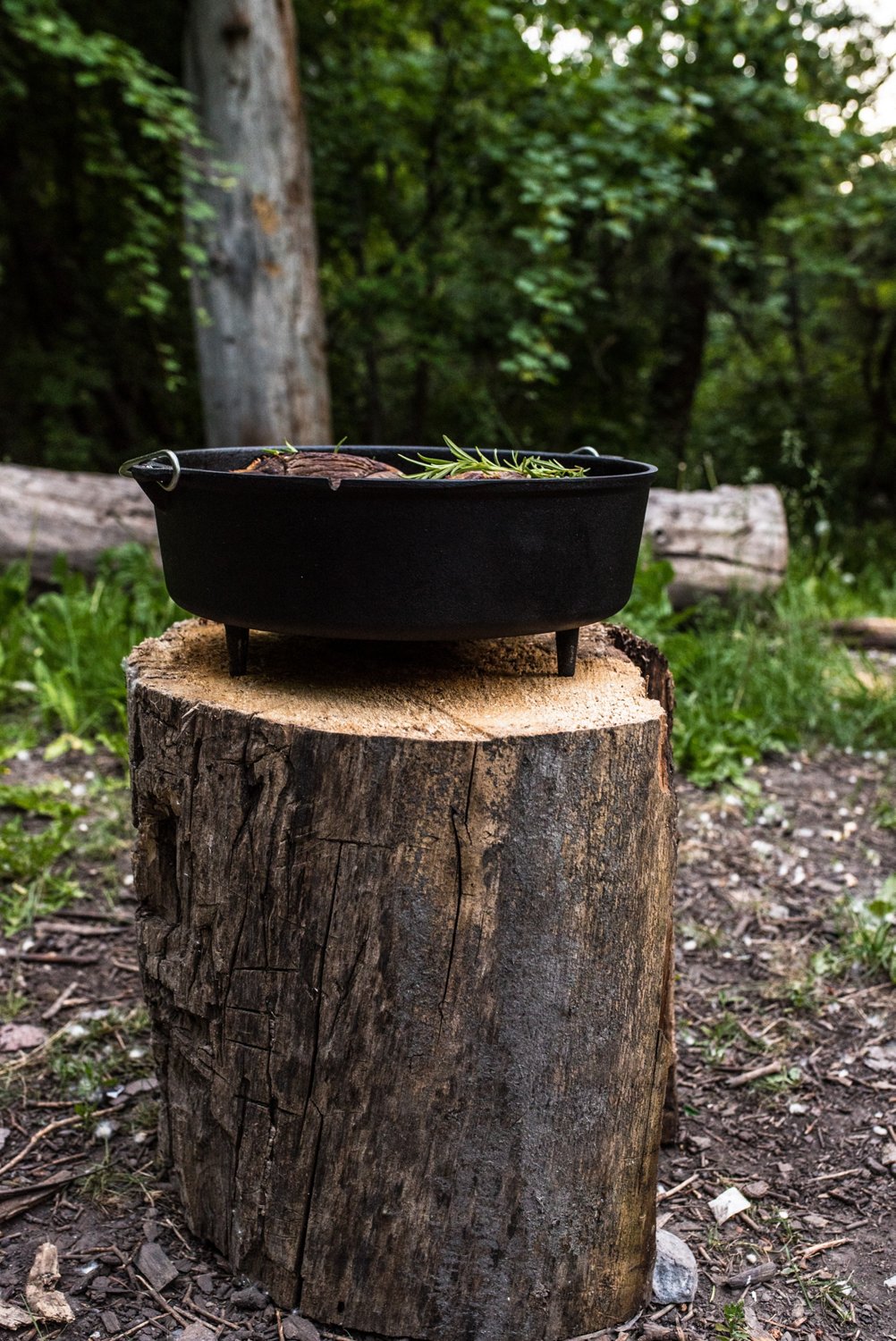Camp Chef 14 in Cast Iron 12 qt Deluxe Dutch Oven - view number 5