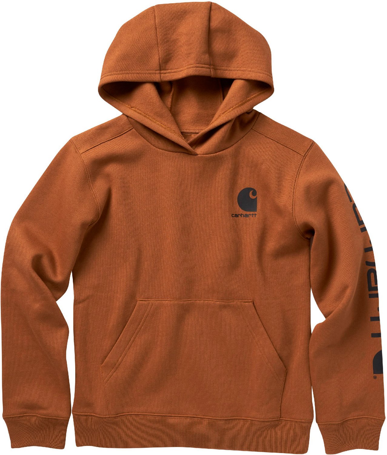 Carhartt Boys' Logo Pullover Hoodie | Free Shipping at Academy