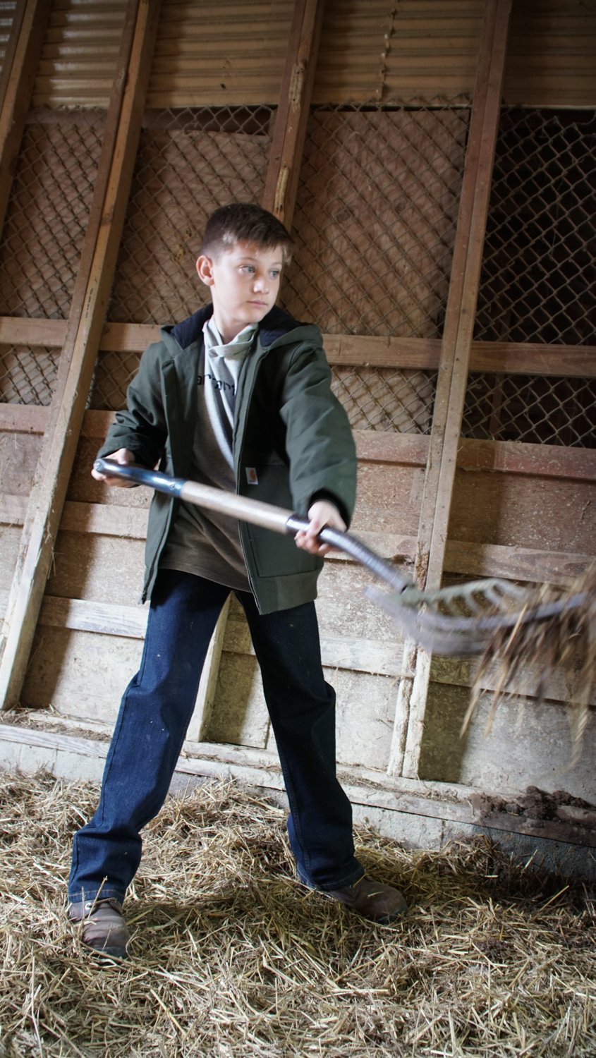 Carhartt Boys' Work Active Jacket - view number 2