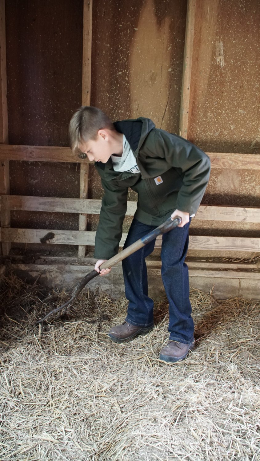 Carhartt Boys' Work Active Jacket - view number 3