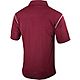 Columbia Sportswear Men's University of Arkansas High Stakes Polo Shirt                                                          - view number 2 image