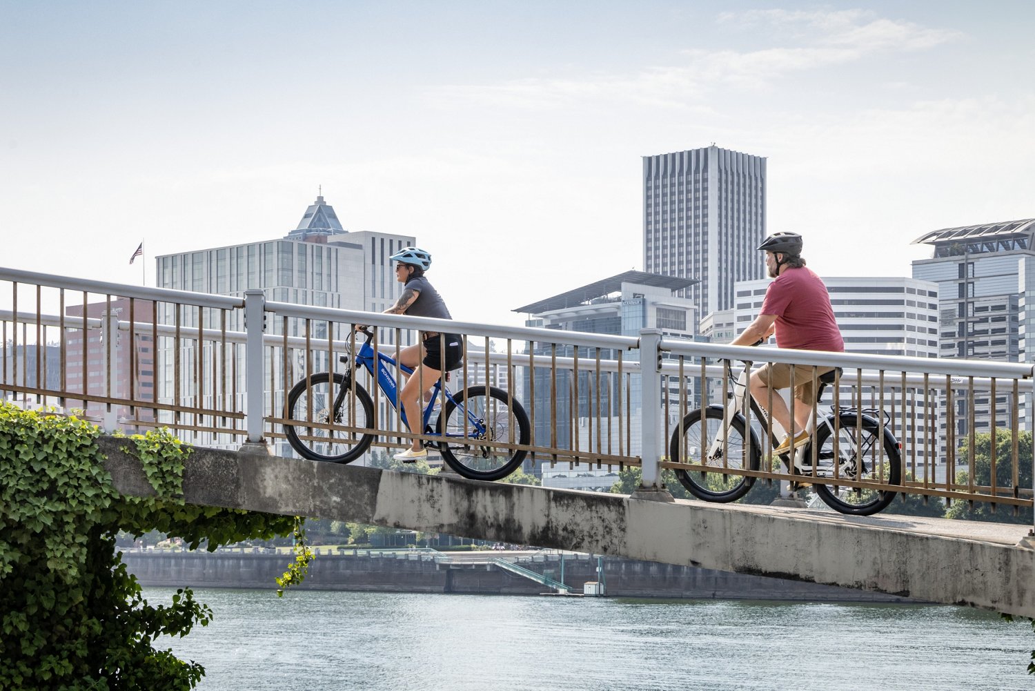 Schwinn Marshall Step-Thru E-Bike