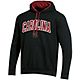 Champion Men's University of South Carolina Arch Pullover Hoodie                                                                 - view number 1 image