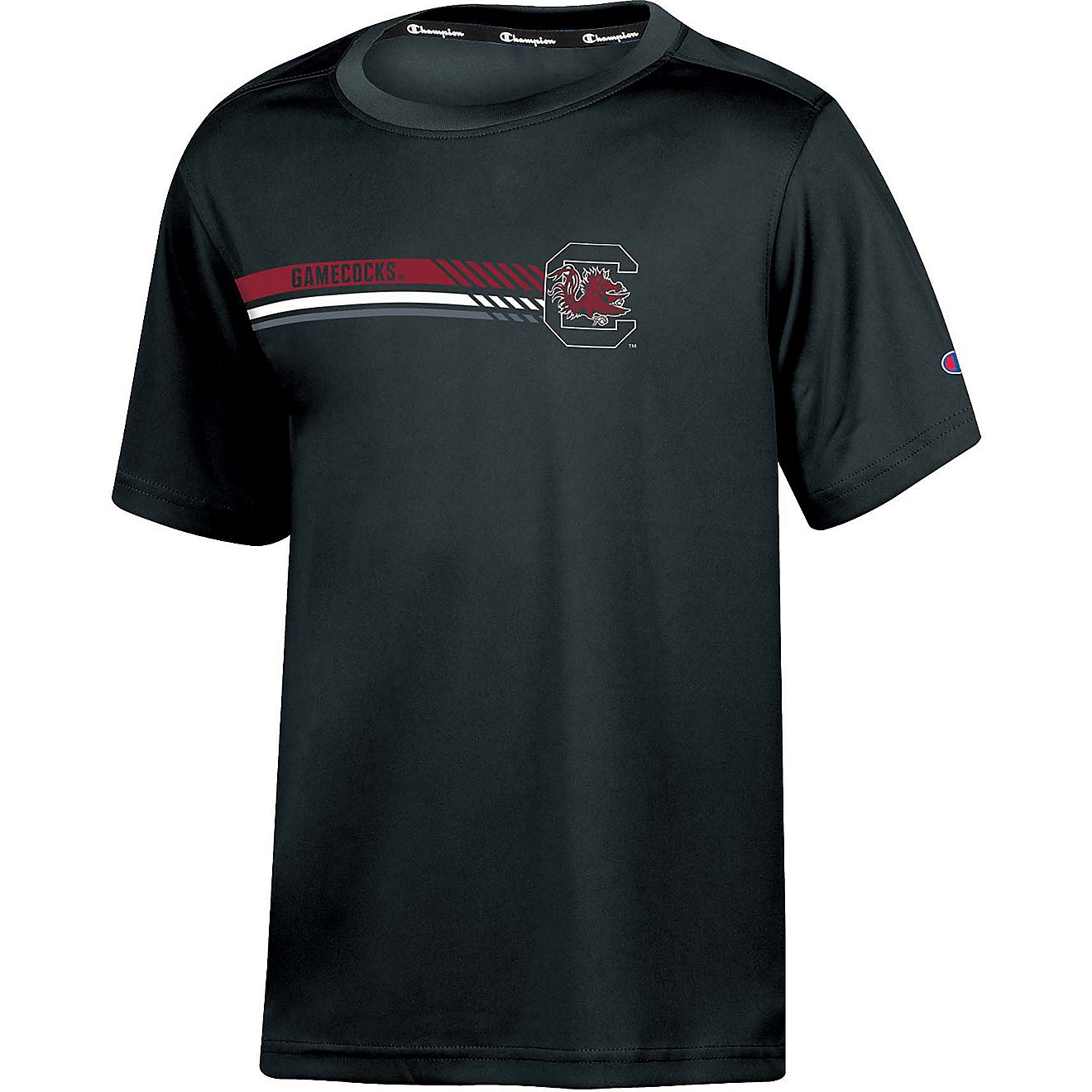 Champion Boys' University of South Carolina Impact Graphic Short Sleeve T-shirt                                                  - view number 1