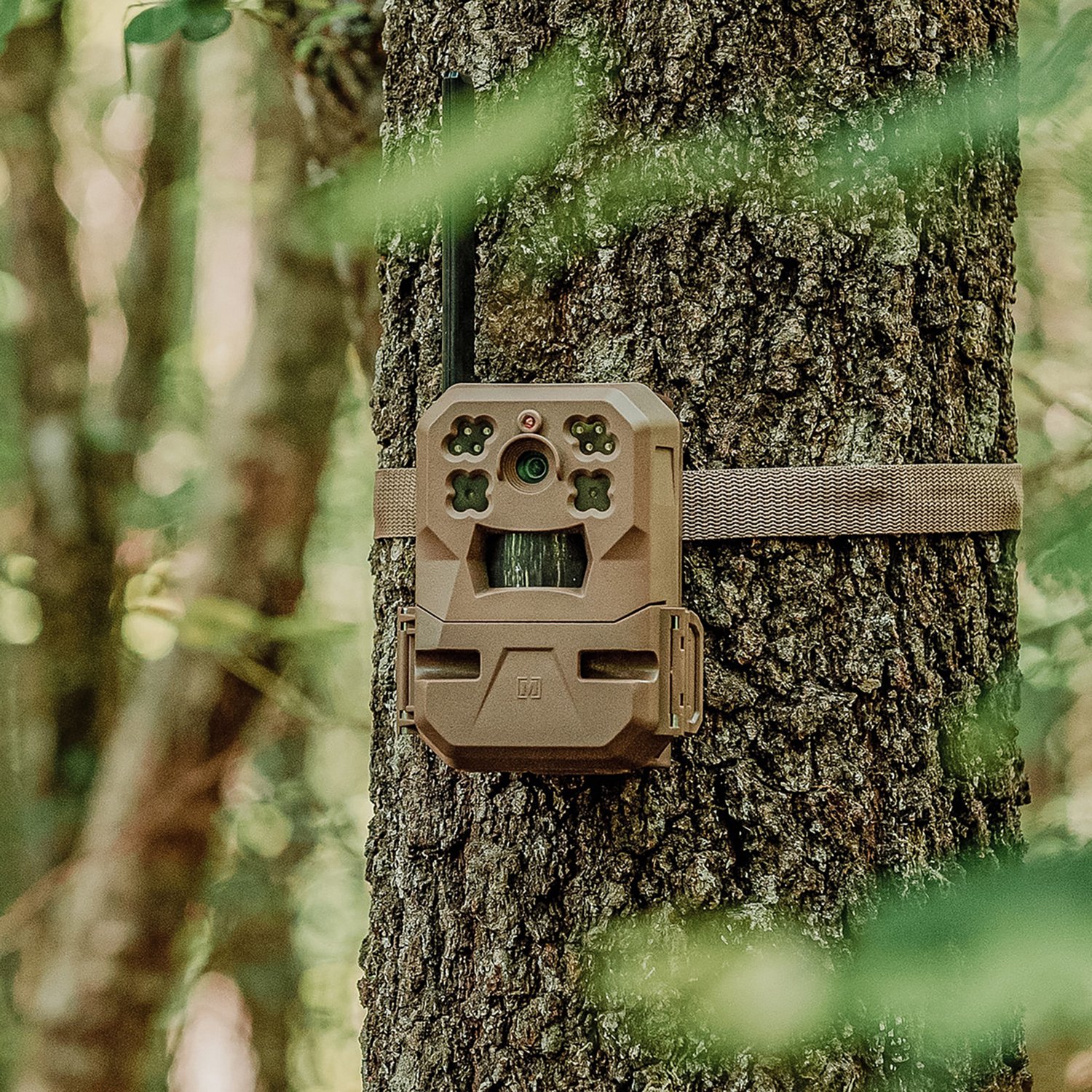 Moultrie EDGE Mobile Nationwide Cellular Trail Camera 2pack Academy