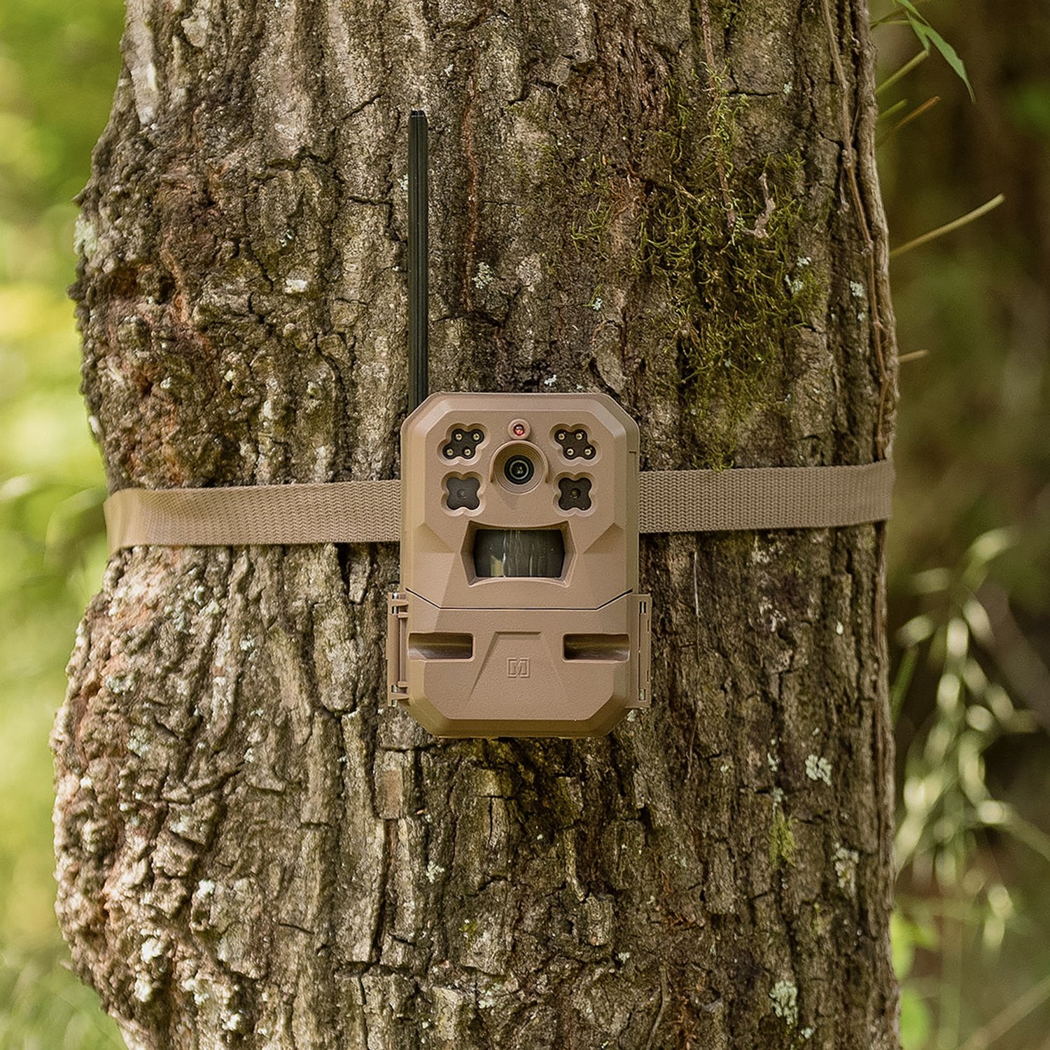 Moultrie EDGE Mobile Nationwide Cellular Trail Camera Academy