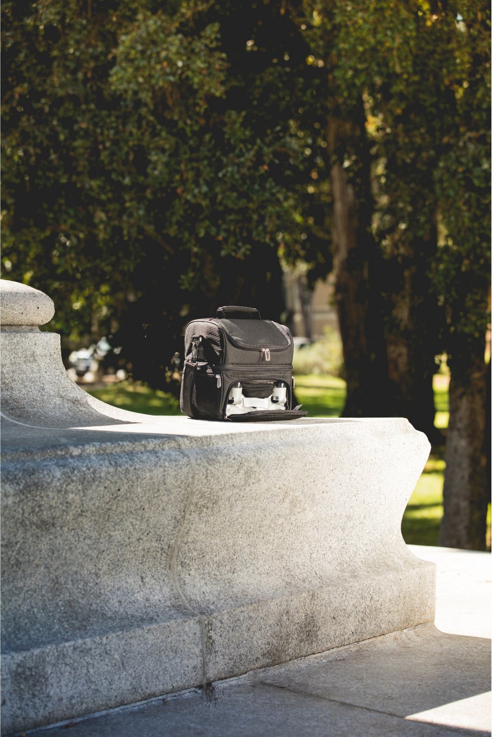 Picnic Time Pranzo Lunch Cooler