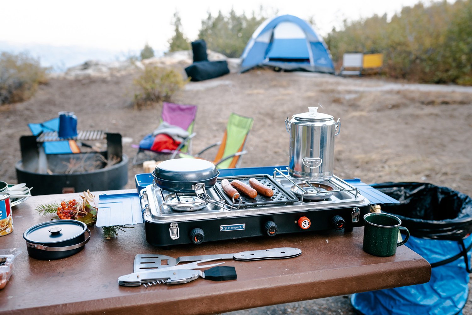 Stansport Outfitter Series 2-Burner Propane Stove with Grill - view number 7