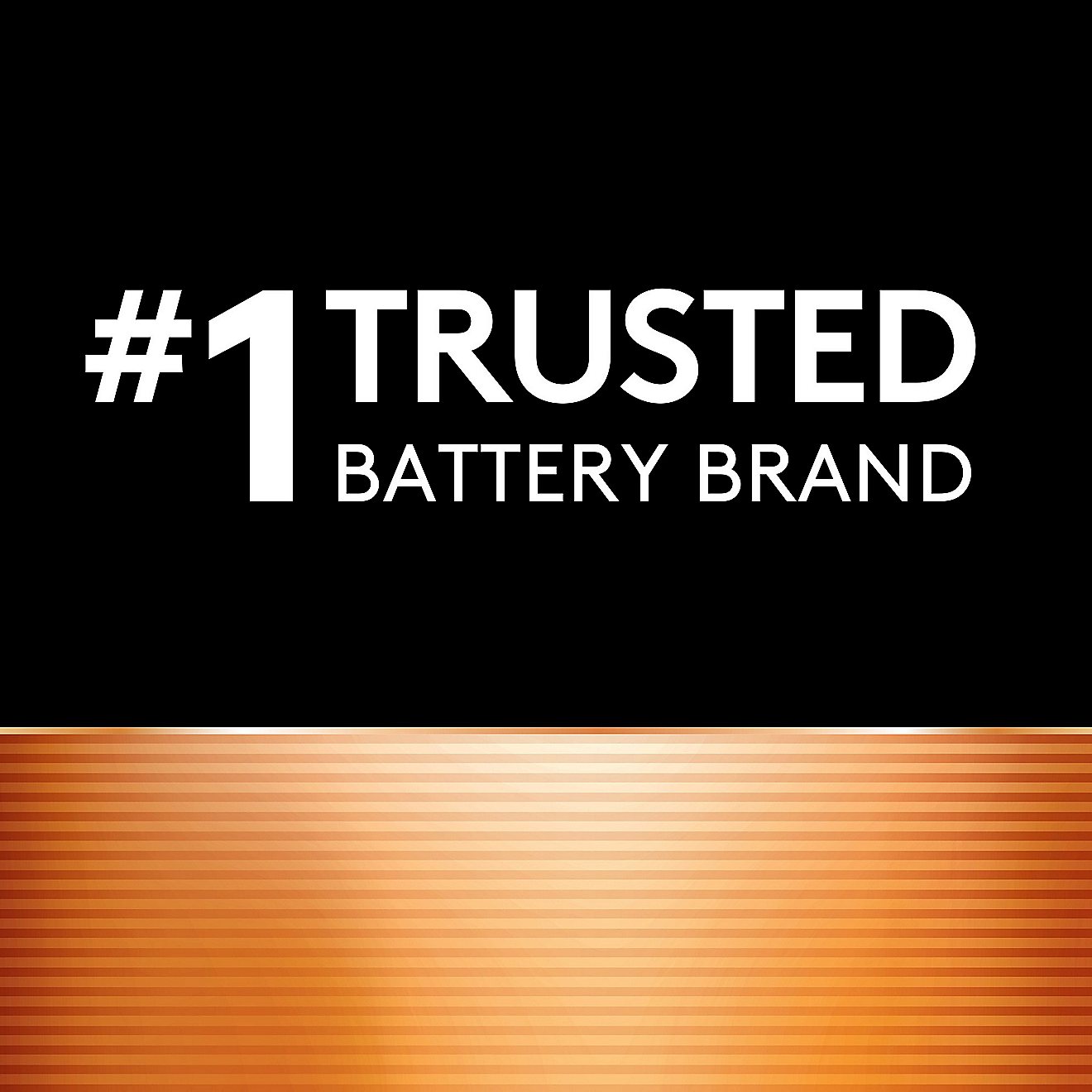 Duracell Coppertop 9V Alkaline Batteries 2-Pack                                                                                  - view number 4