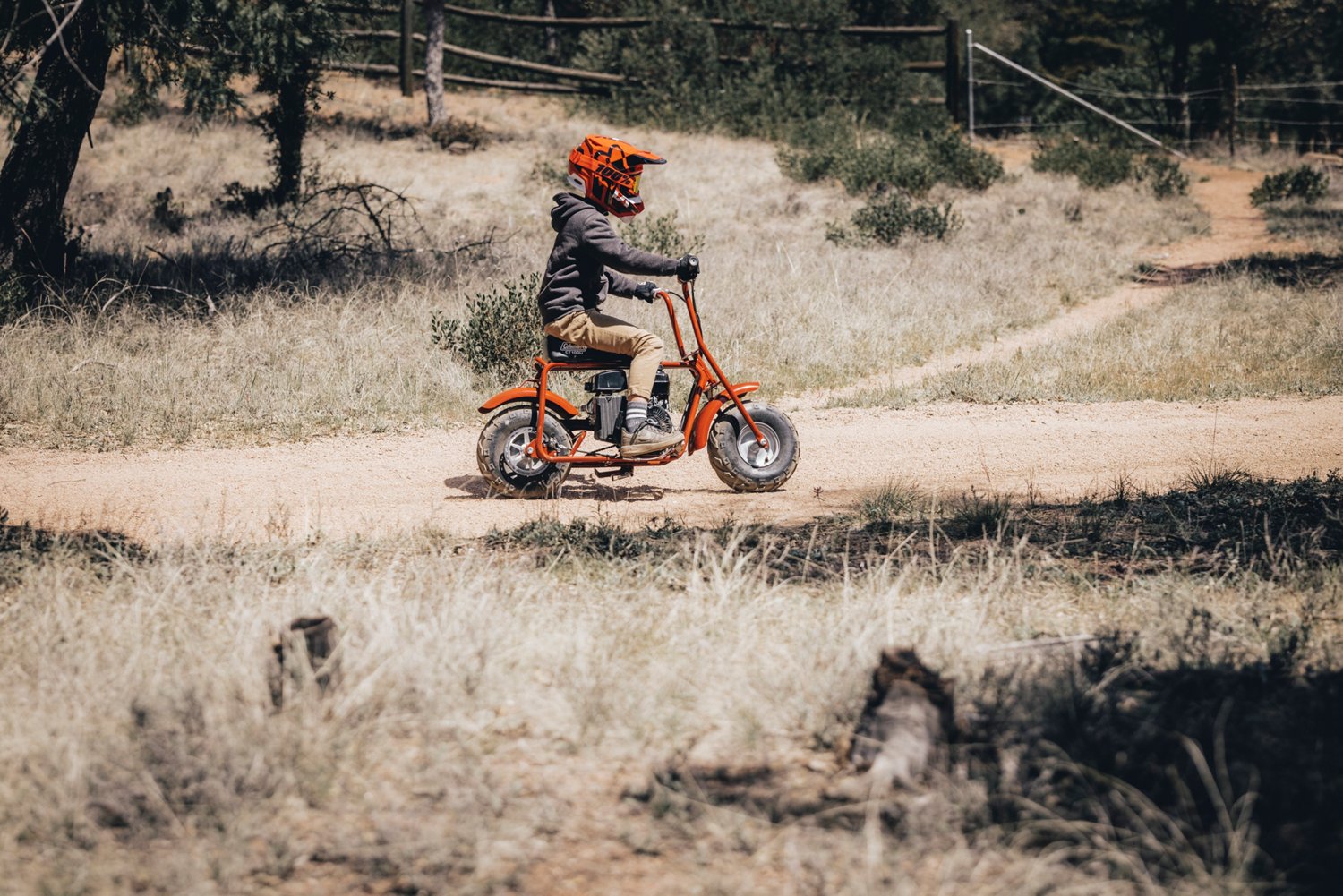 Coleman 98cc cheap mini bike