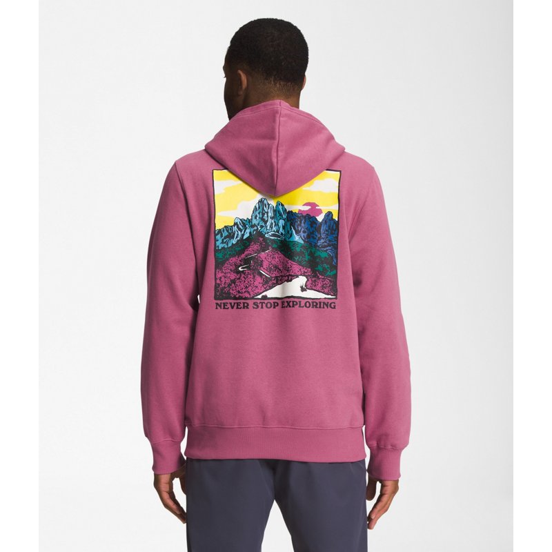 The North Face Men's Graphic Injection Pullover Hoodie Red, X-Large - Men's Longsleeve Outdoor Tops at Academy Sports product image