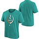 Nike Youth Miami Dolphins Icon T-shirt                                                                                           - view number 1 image