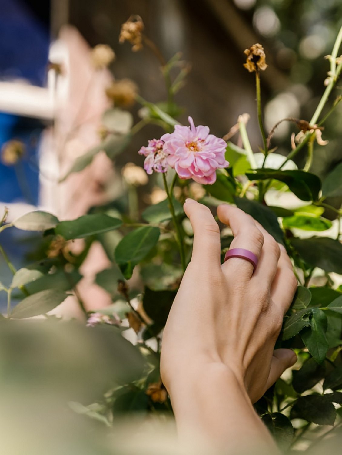 QALO Women's Pela Modern Ring                                                                                                    - view number 3