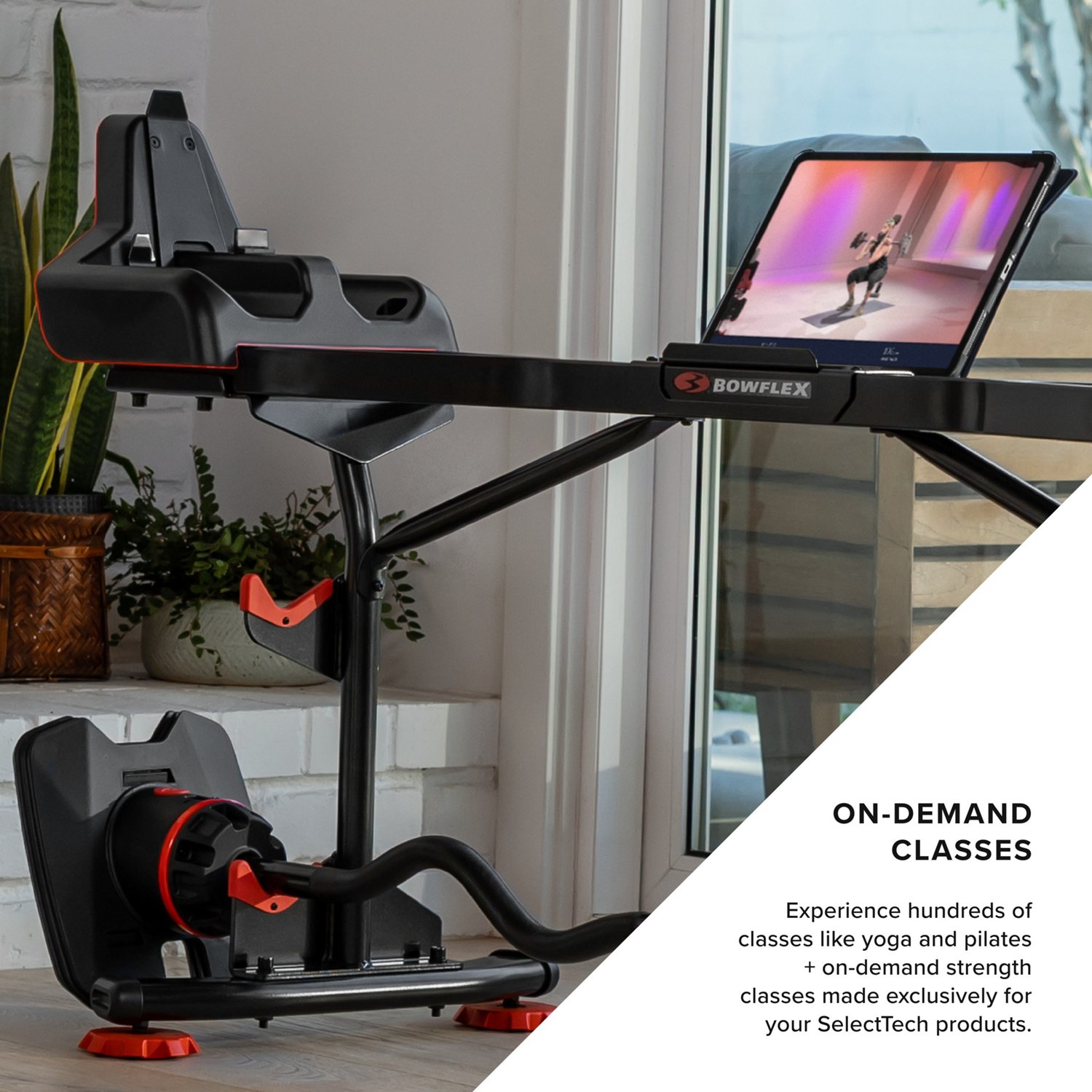 Bowflex SelectTech 2080 Barbell w/ Curl Bar - view number 6