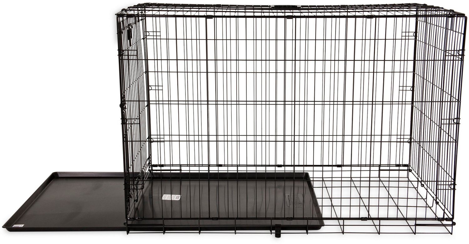 Precision Pet Products ProValu 1-Door Wire Crate                                                                                 - view number 5