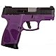 Taurus G2C 9mm Semiautomatic Pistol                                                                                              - view number 1 image