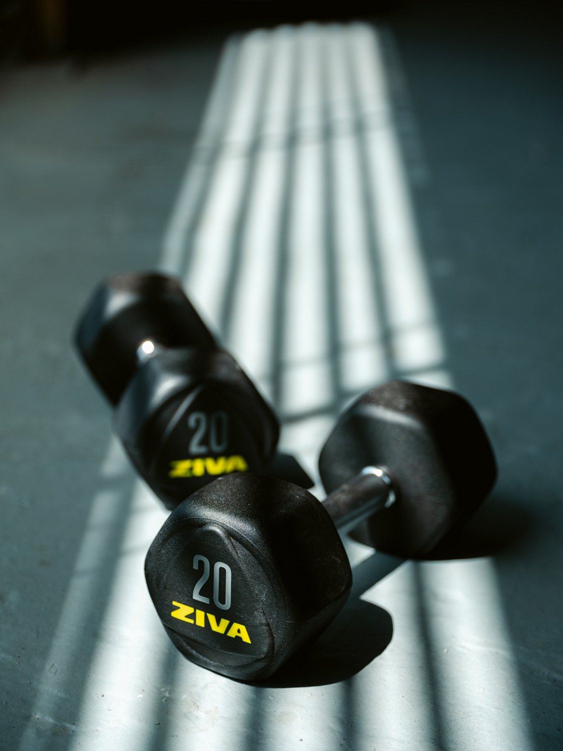 ZIVA Hexagon Weight Lifting Dumbbell – Pair