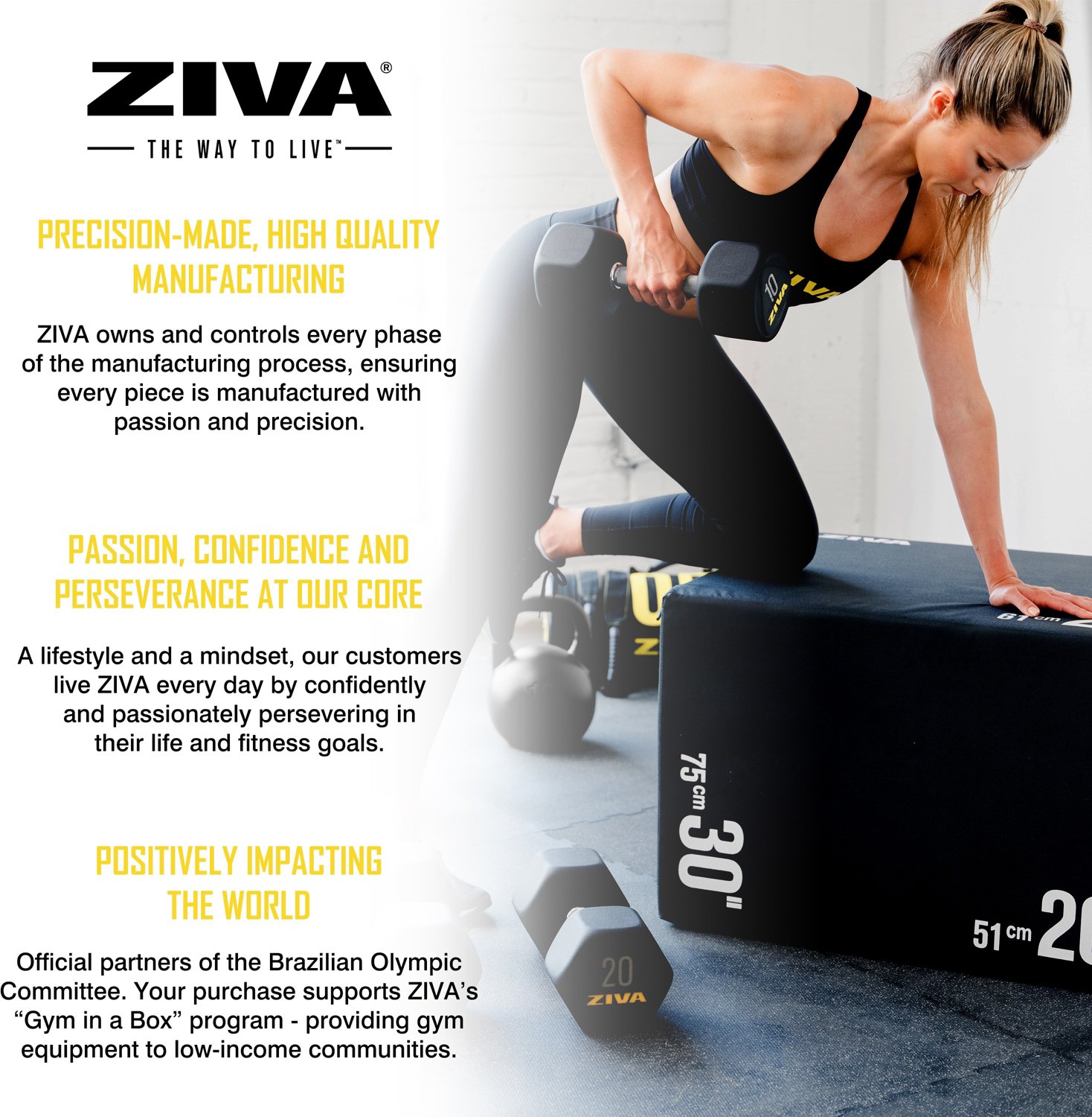 ZIVA Hexagon Weight Lifting Dumbbell Pair | Academy