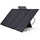 EcoFlow 400W Portable Solar Panel                                                                                                - view number 1 image