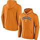 Fanatics Men's University of Tennessee Arched Logo Hoodie                                                                        - view number 3 image