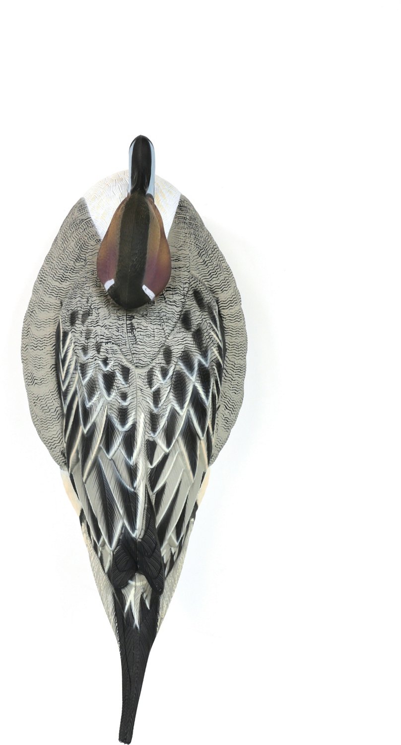 Lifetime Pintail HydroFoam Ultra-light Decoy 6-Pack - view number 6