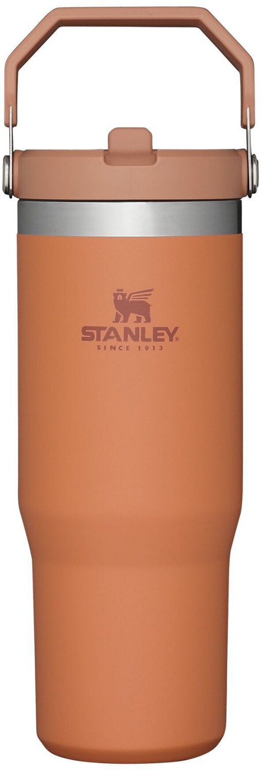 Stanley The IceFlow 30 oz Classic Flip Straw Tumbler