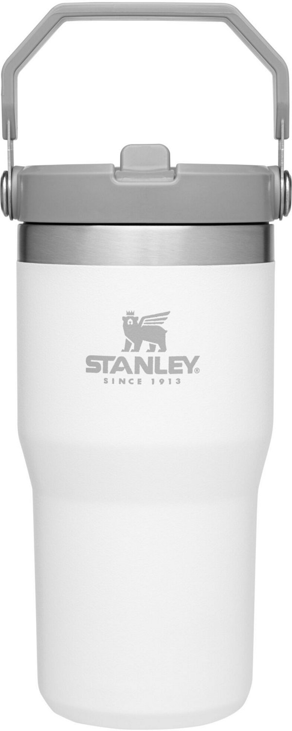Stanley The IceFlow 20 oz Classic Flip Straw Tumbler                                                                             - view number 1 selected