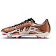 Nike Adult Zoom Vapor 15 Academy FG/MG Cleats                                                                                    - view number 2 image