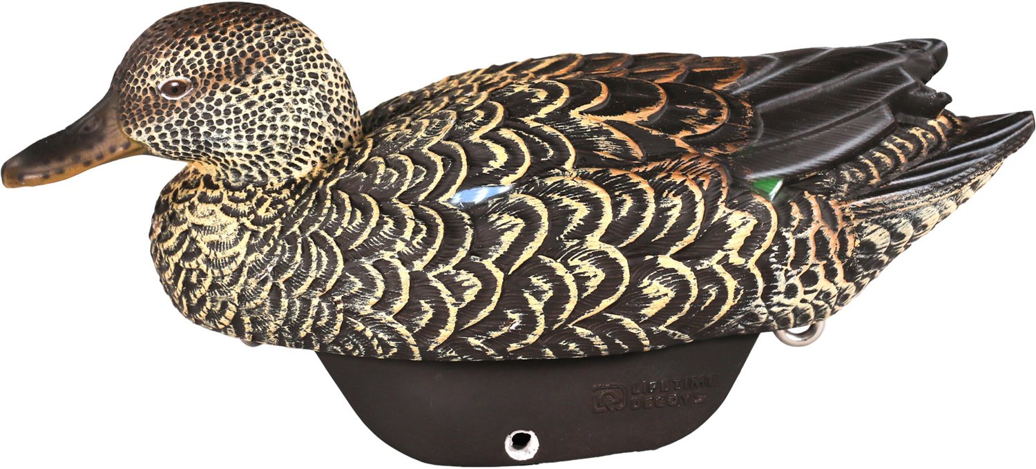 Lifetime Early Season Teal HydroFoam Ultra-light Decoy 6-Pack - view number 2