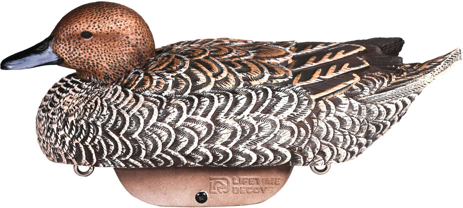 Lifetime Pintail HydroFoam Ultra-light Decoy 6-Pack - view number 2