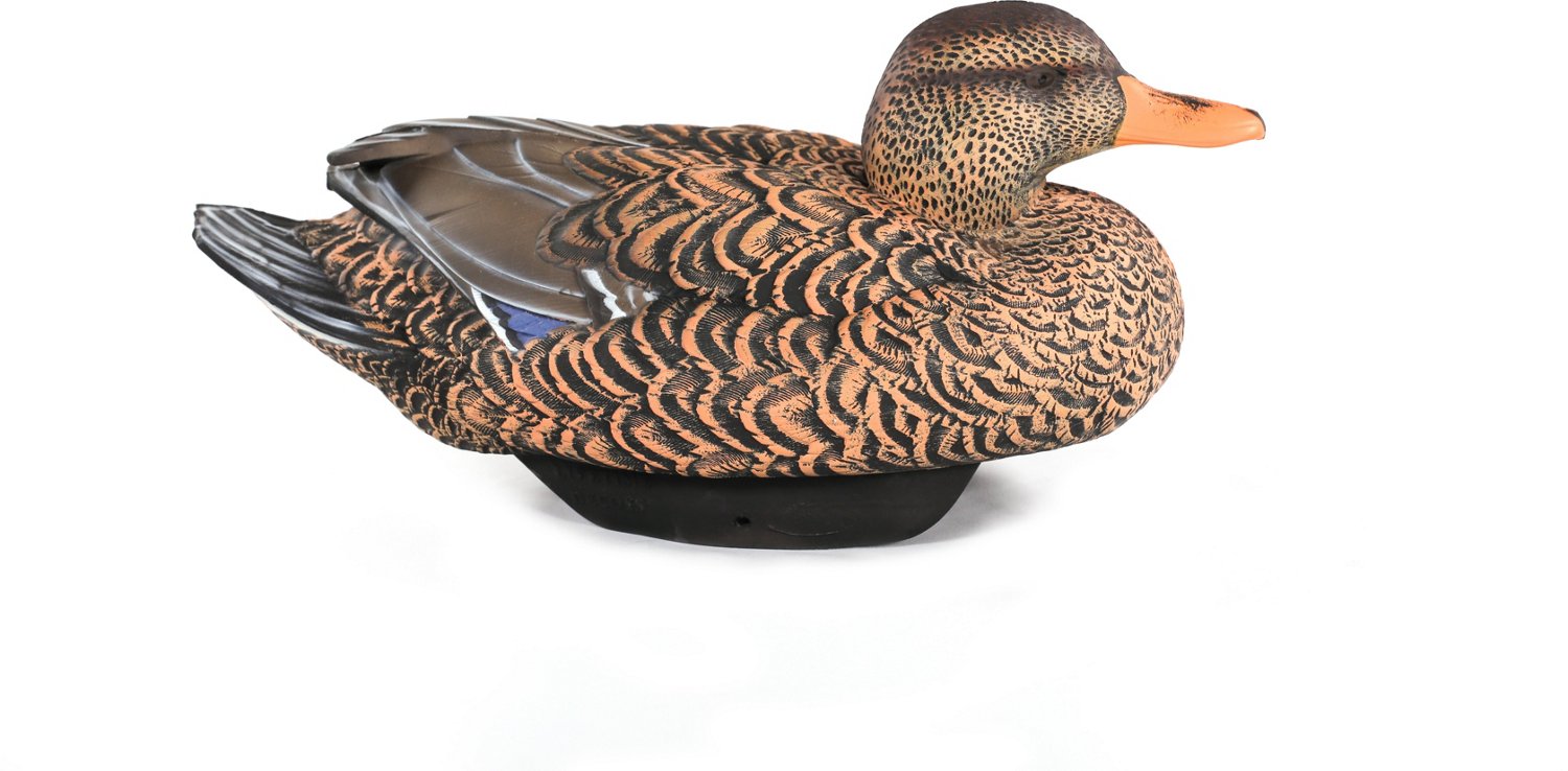 Lifetime Flocked Mallard HydroFoam Ultra-light Decoy 6-Pack | Academy