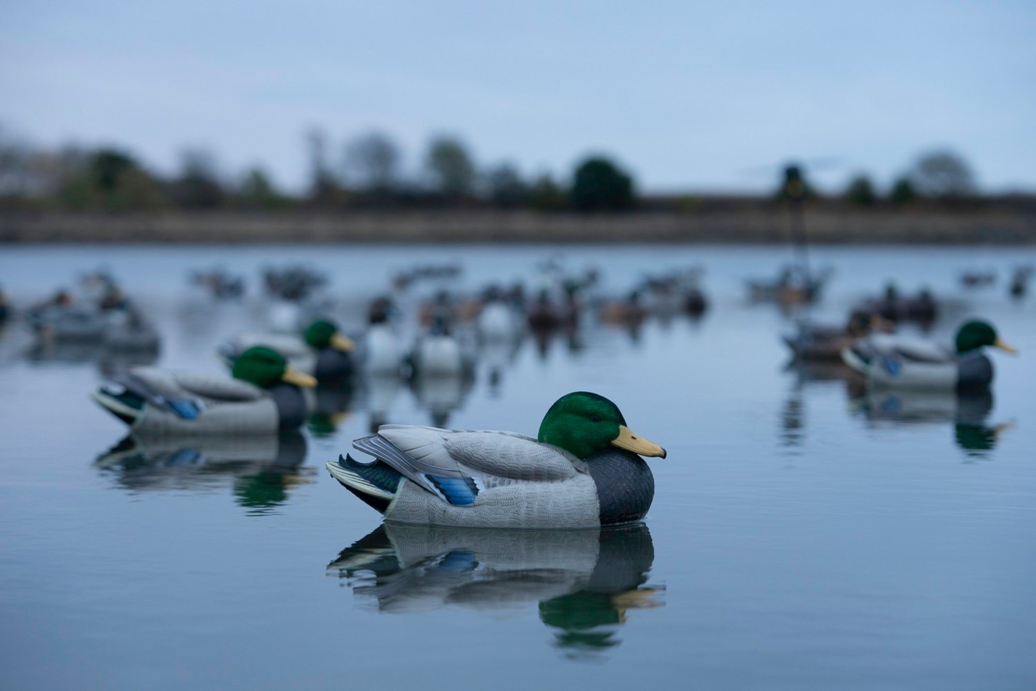 Lifetime Flocked Mallard HydroFoam Ultra-light Decoy 6-Pack | Academy