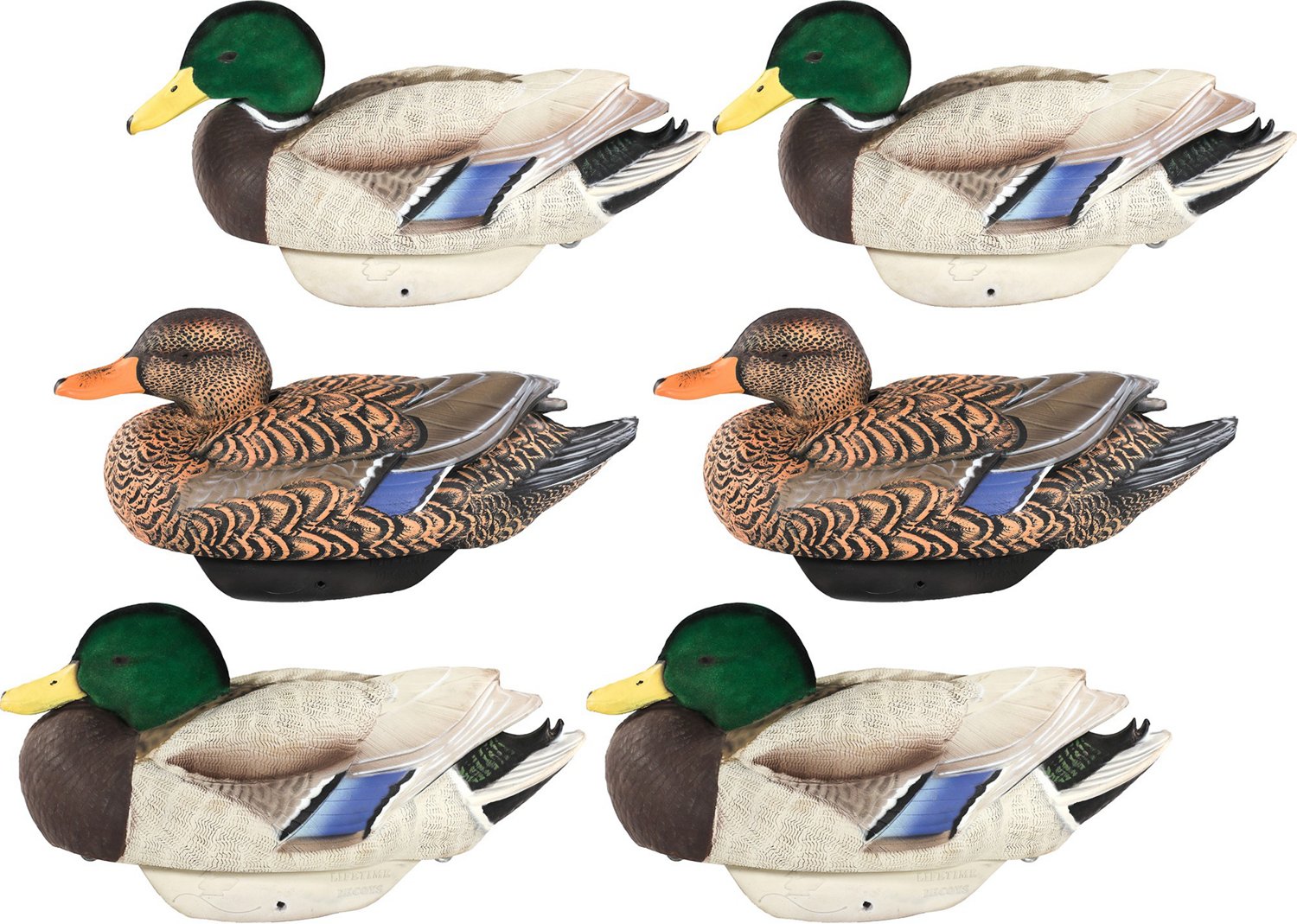 Lifetime Flocked Mallard HydroFoam Ultra-light Decoy 6-Pack | Academy