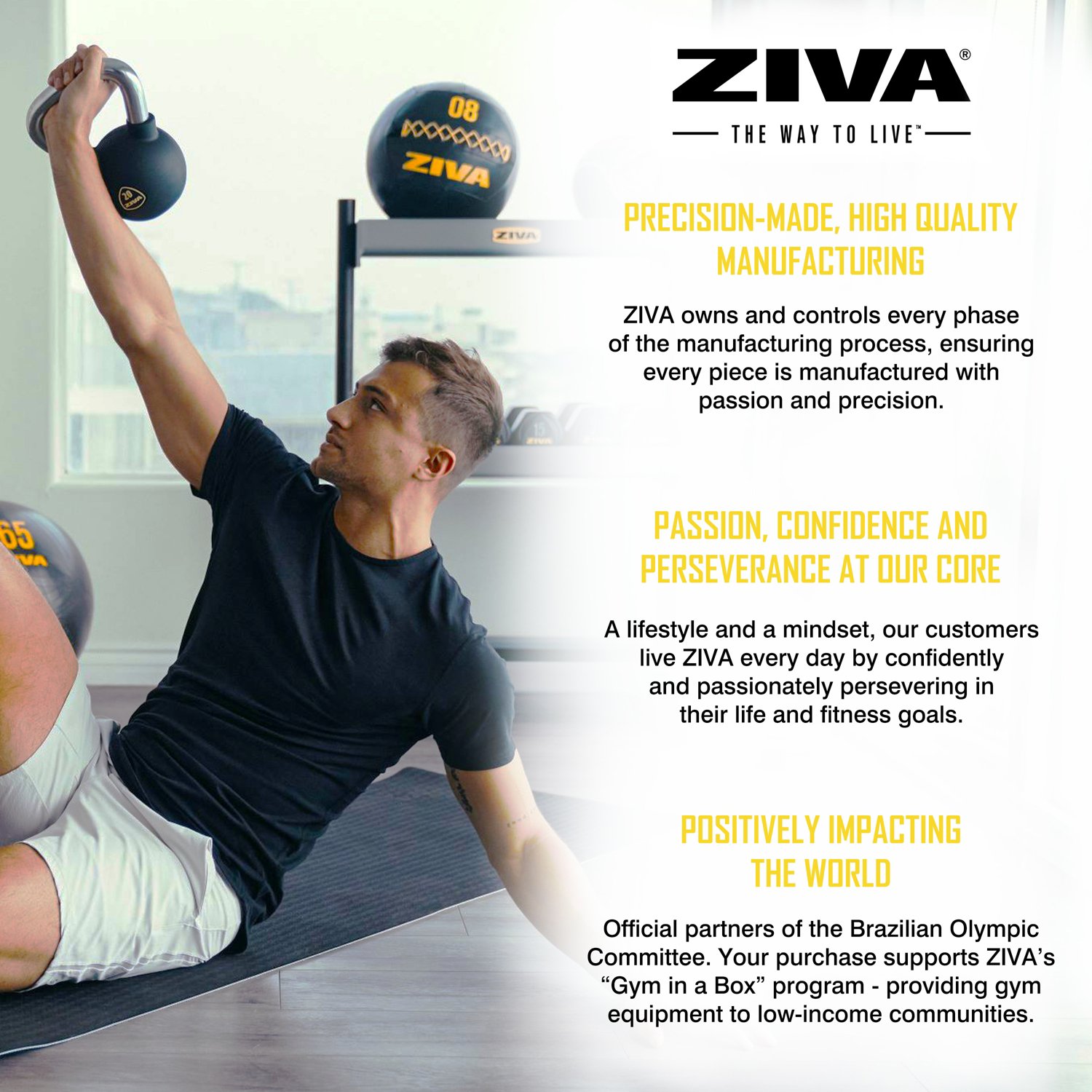 ZIVA Weight Lifting Kettlebell – Single