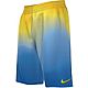 Nike Boys' Aurora Borealis Packable Volley Swim Shorts 8 in                                                                      - view number 1 selected