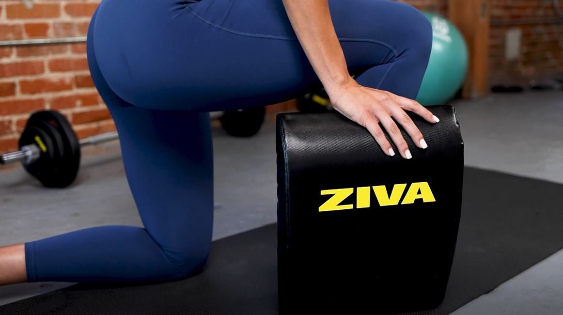 ZIVA Fitness Abdominal Pad                                                                                                       - view number 5