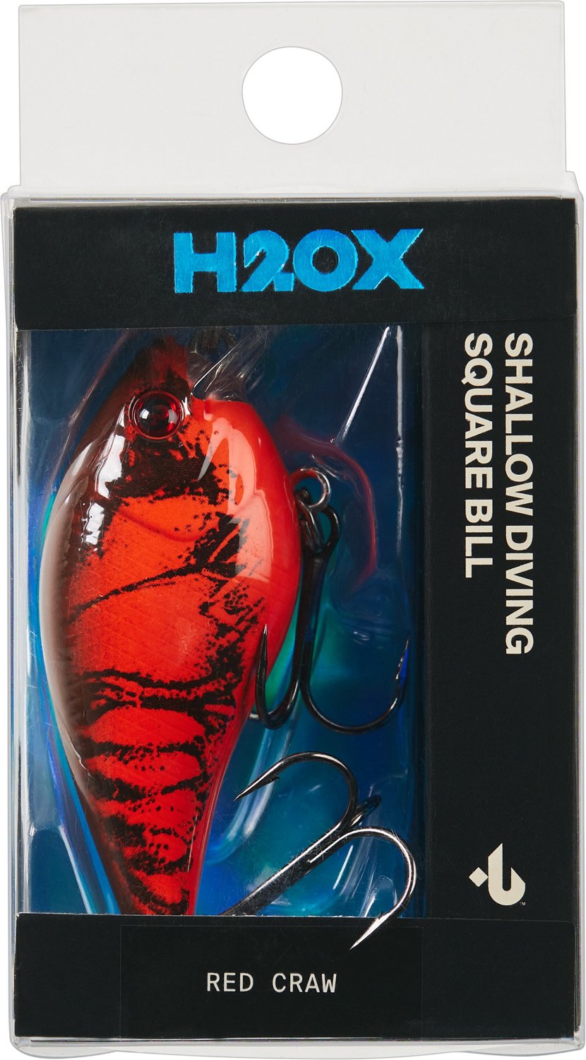 サカナクション Blue-ray Box LIVE FISH Amazon.com : CPR Aquatic CS102 Deluxe Siphon Overflow w/Lid