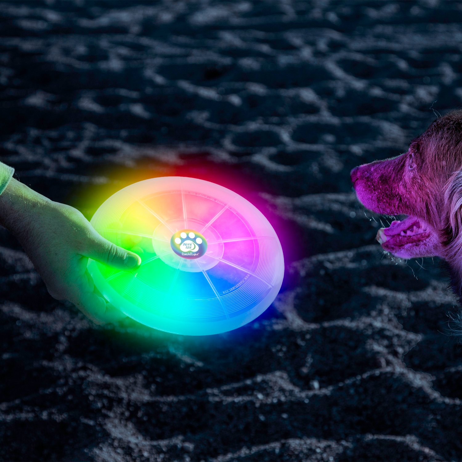 Nite Ize Flashflight Dog Discuit LED Flying Disc - view number 6