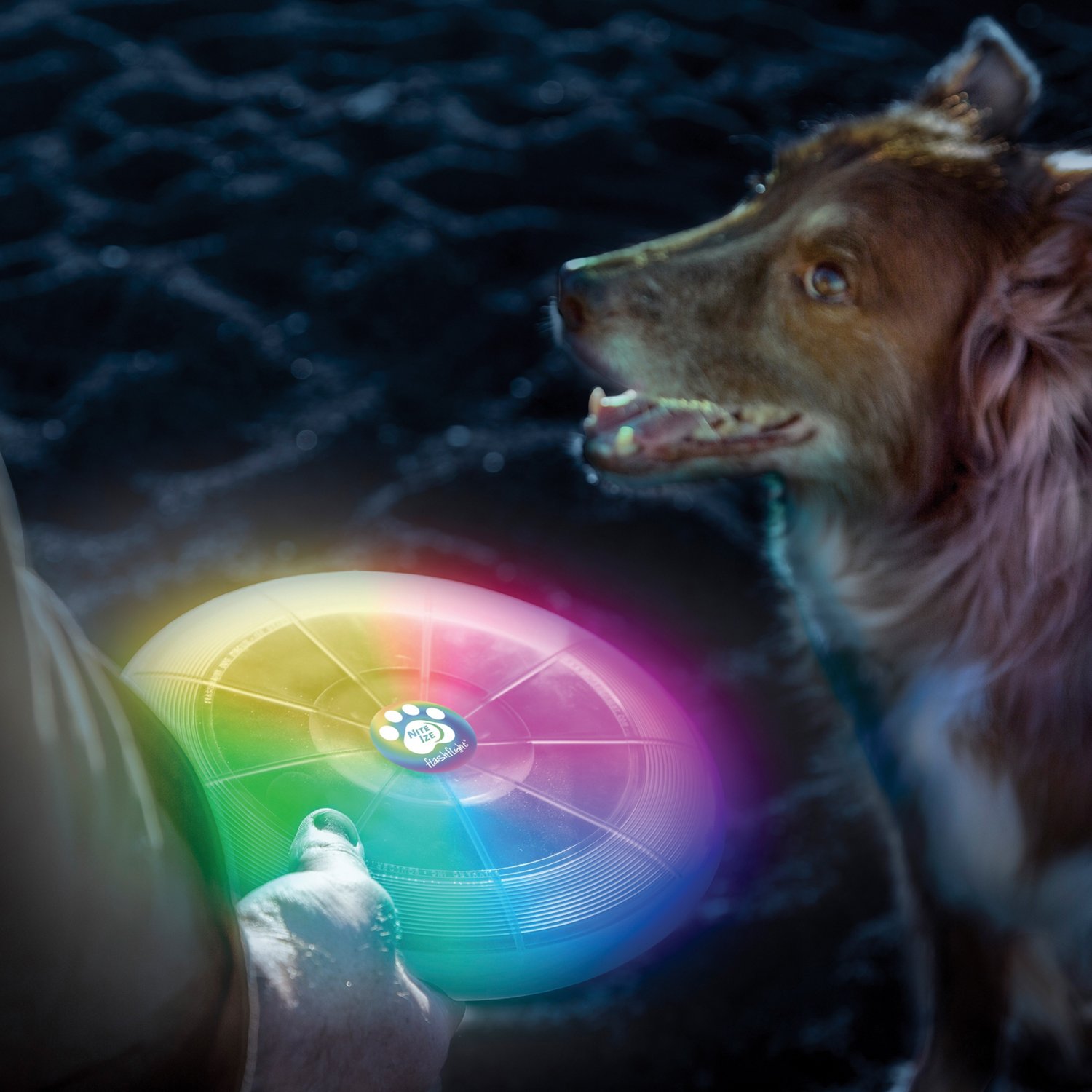 Nite Ize Flashflight Dog Discuit LED Flying Disc - view number 7