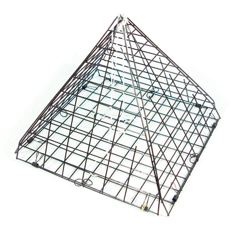 Eagle Claw Star Cra…