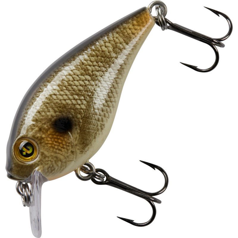 H2OX Shallow Runnin… - image