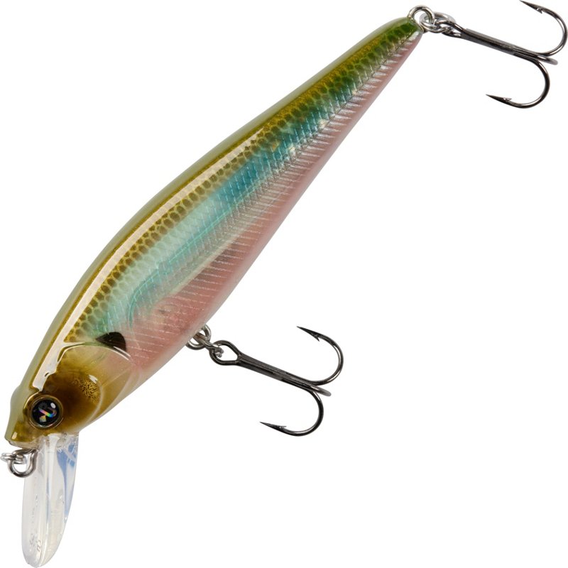H2OX Premium Floating Jerk Shad Bait Ghost Shad - Frsh Water Hard Baits at Academy Sports