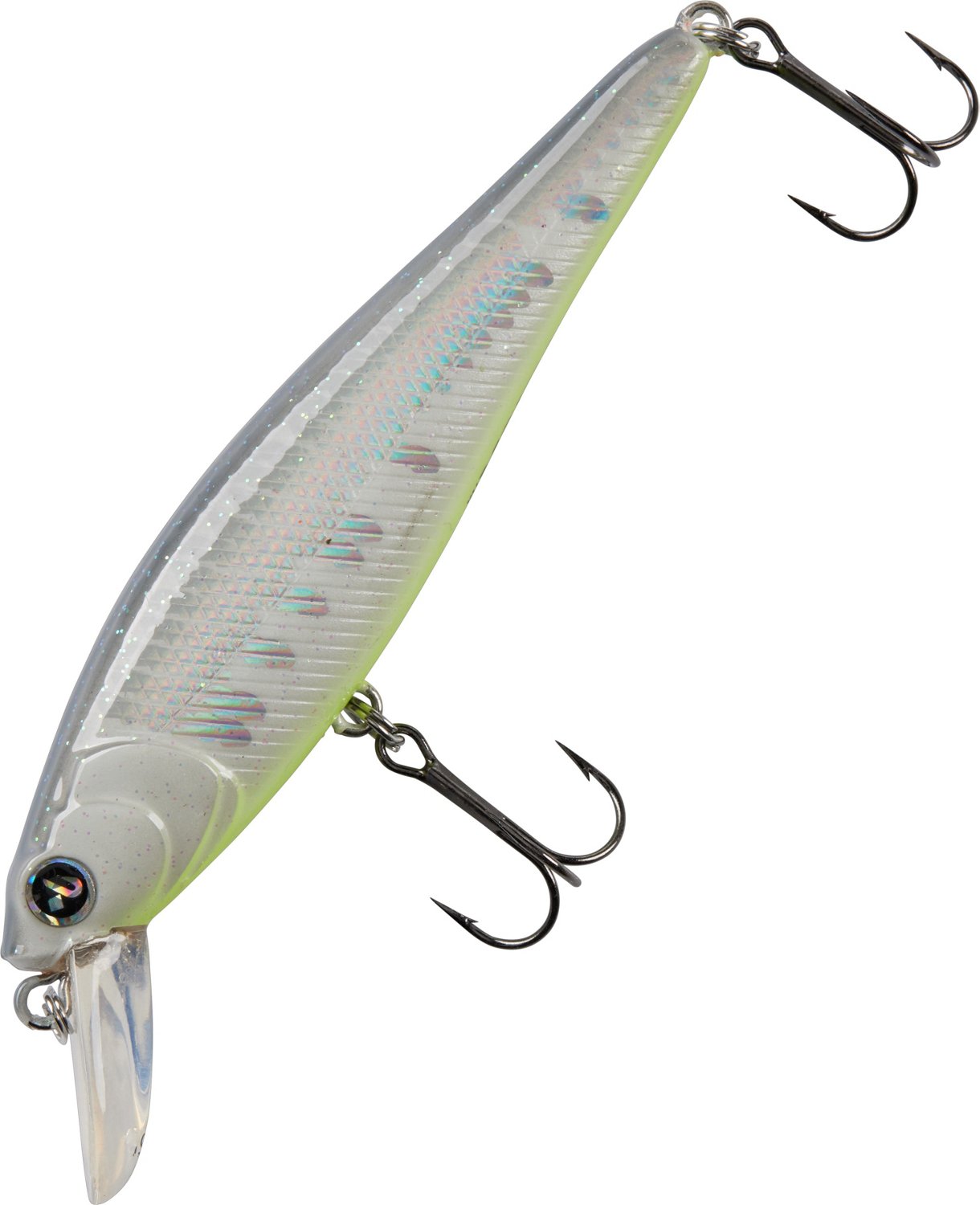 H2OX Premium Floating Jerk Shad Bait Academy